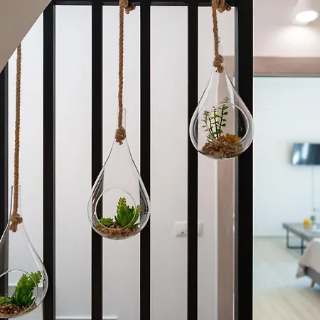 Apartament White & Gray *